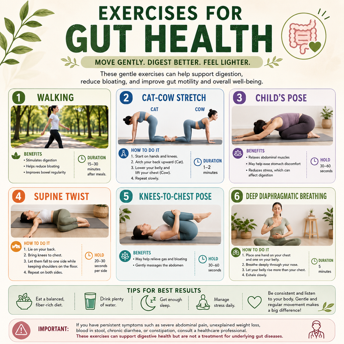 How Exercise Improves Gut Health: 6 Best Workouts for Better Digestion