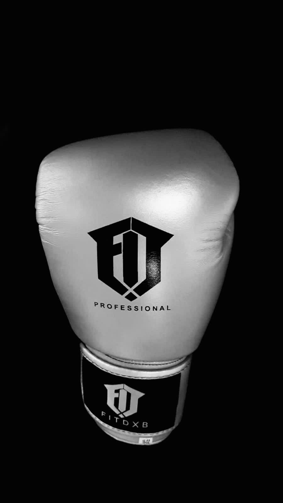 Boxing Gloves - Fit dxb professional