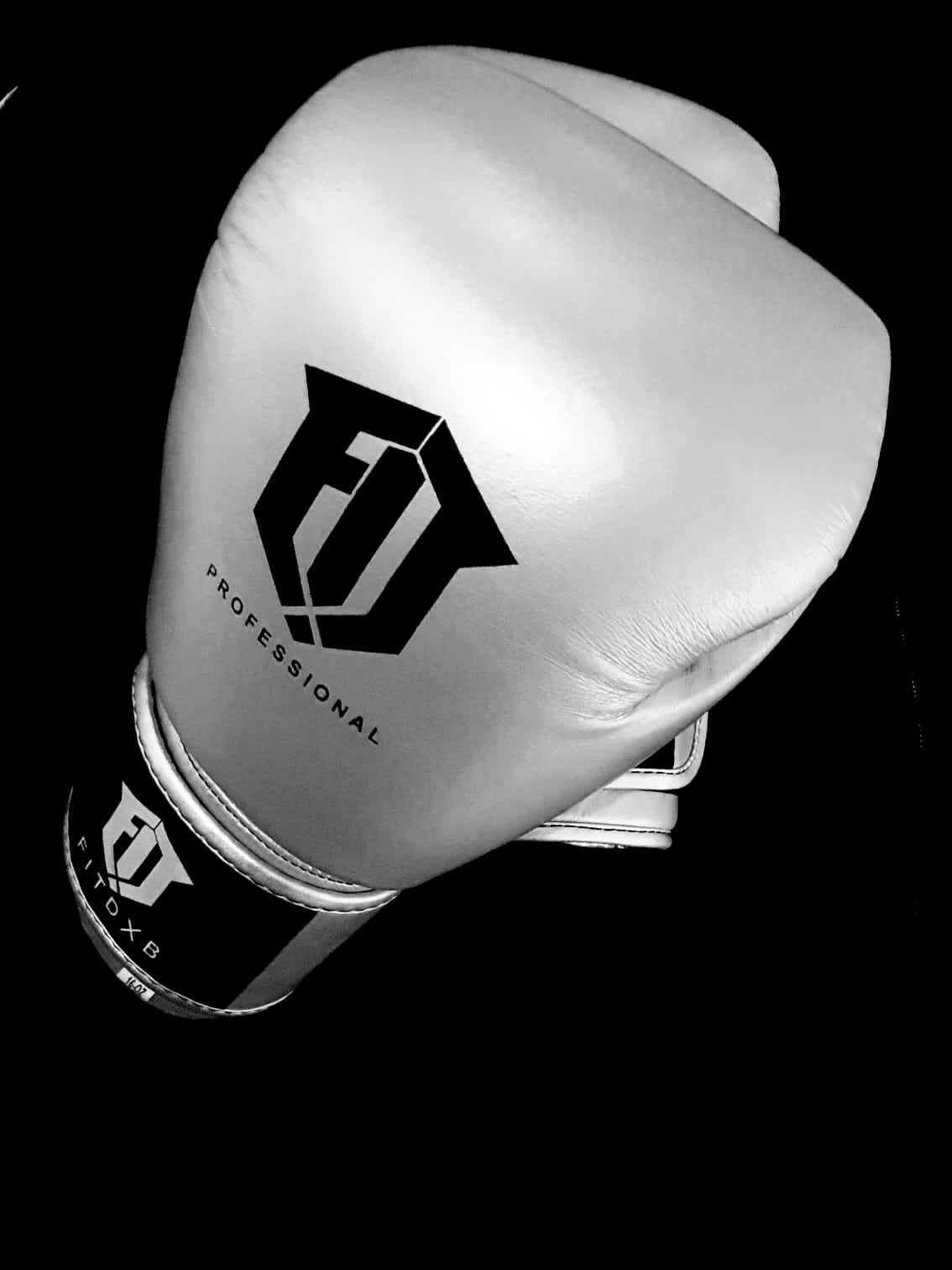 Boxing Gloves - Fit dxb professional