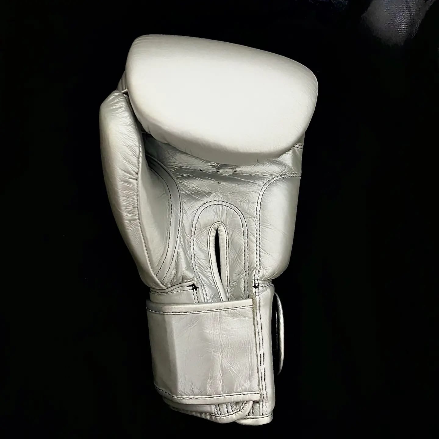 Boxing Gloves - Fit dxb professional